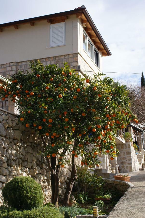 Three Oranges Apartment Trsteno Bagian luar foto